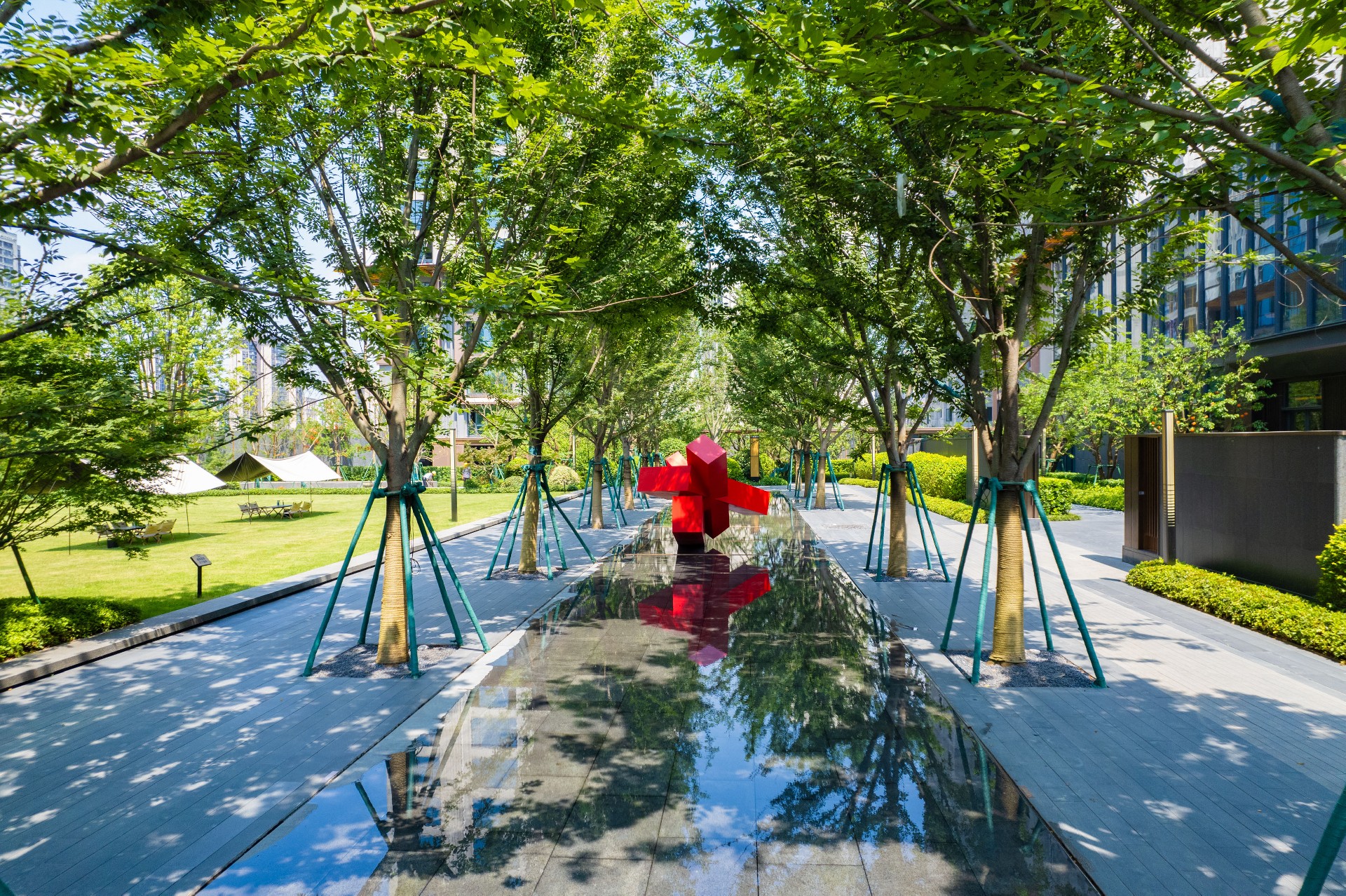 1762766894126286.jpg 1.jpg